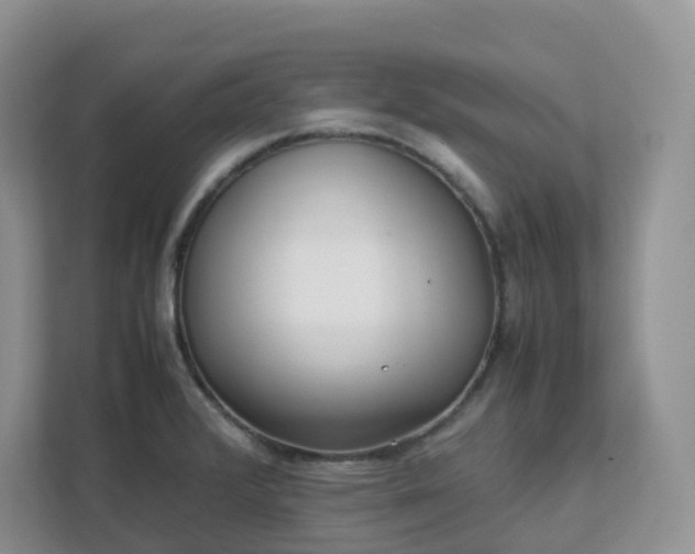 X0000111531376200907211235