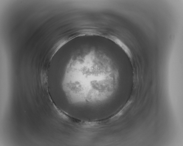 X0000111531385200907211235