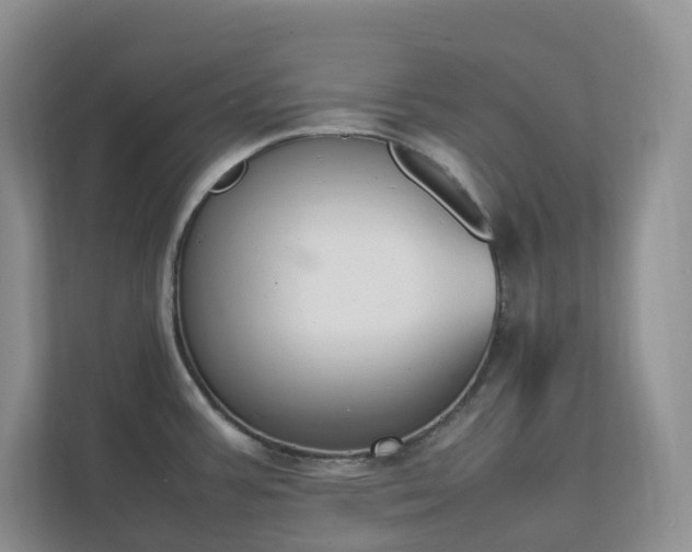 X0000111531387200907211235