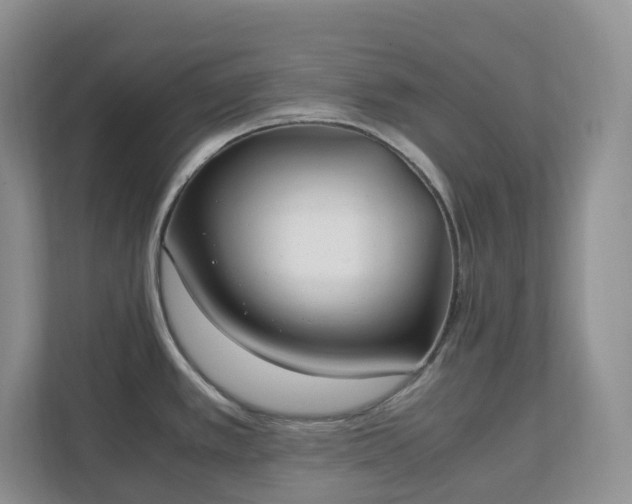 X0000111531389200907211235