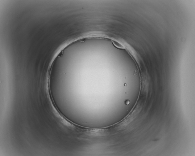 X0000111531390200907211235