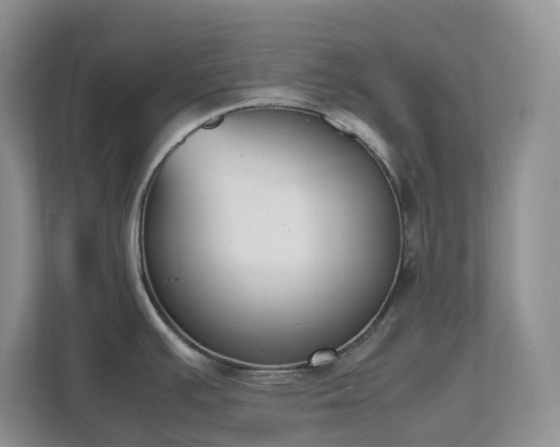 X0000111531391200907211235