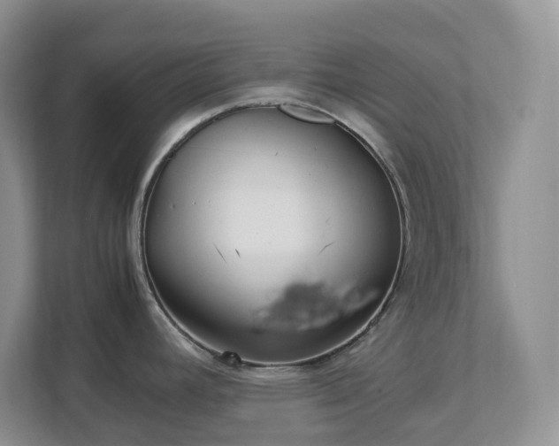 X0000111531392200907211235