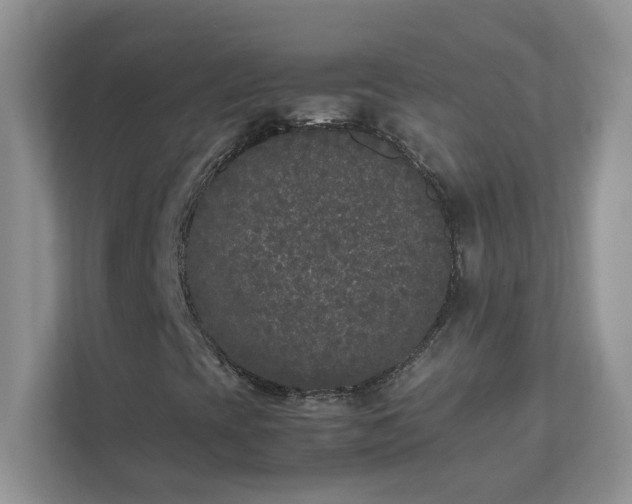 X0000111531393200907211235