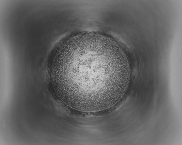 X0000111531398200907211235