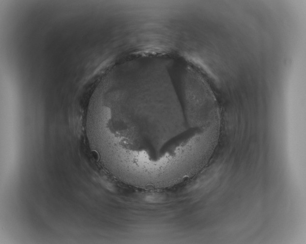 X0000111531399200907211235