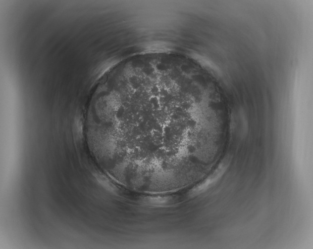 X0000111531401200907211235