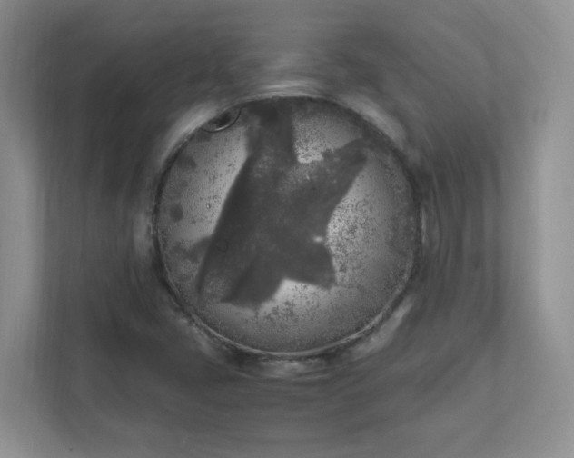 X0000111531405200907211235