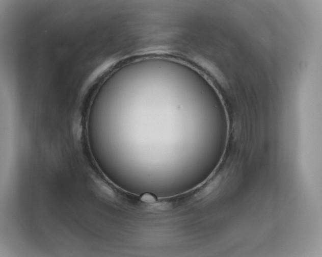 X0000111531406200907211235