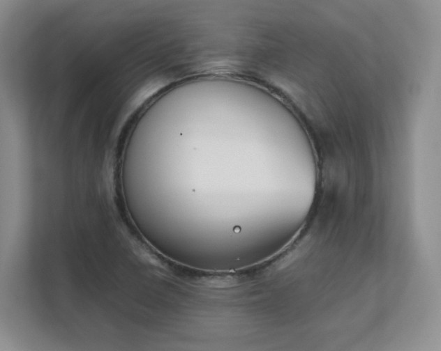 X0000111531410200907211235