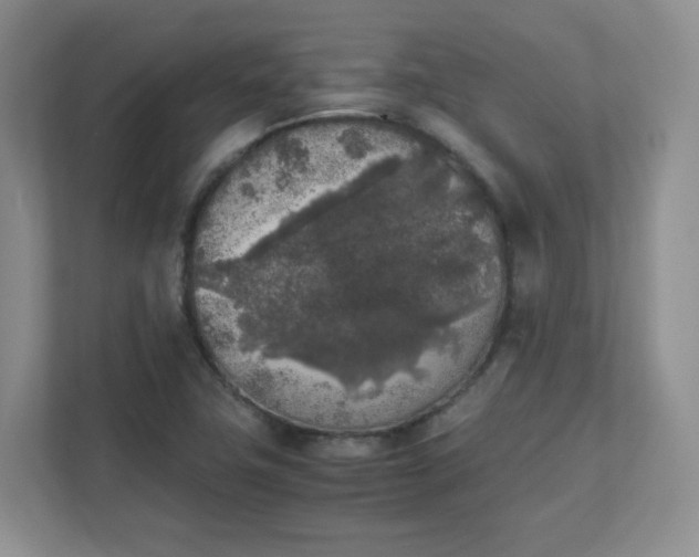 X0000111531411200907211235