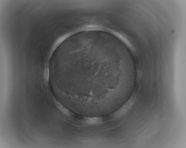 X0000111531413200907211235