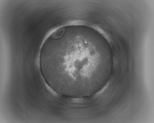 X0000111531421200907211235