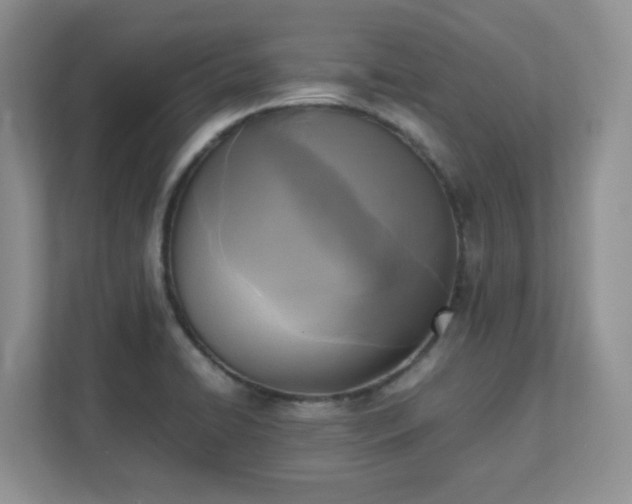 X0000111531422200907211235