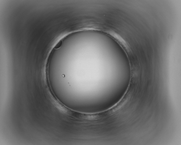 X0000111531423200907211235