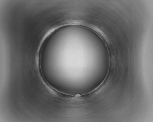 X0000111531424200907211235