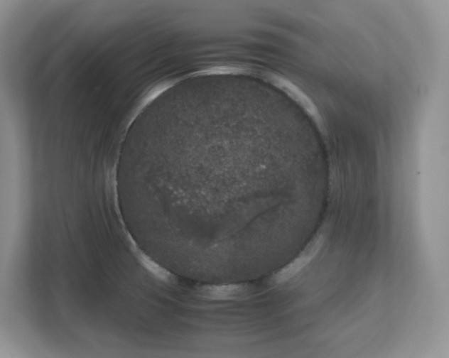 X0000111531425200907211235