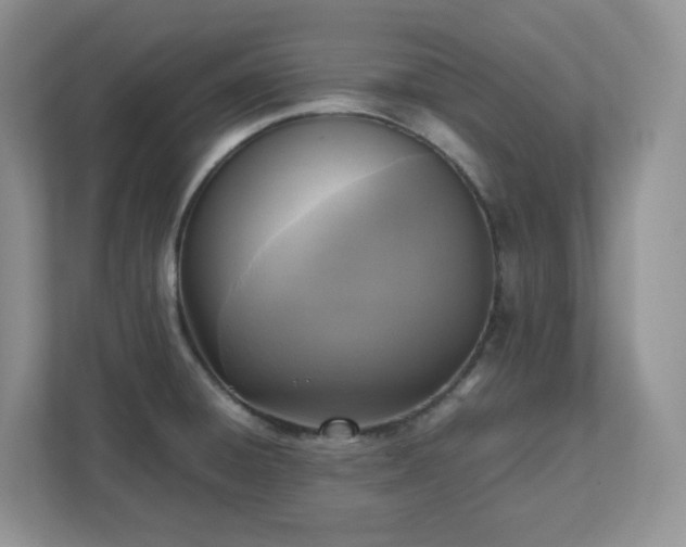 X0000111531428200907211235