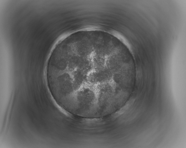 X0000111531429200907211235