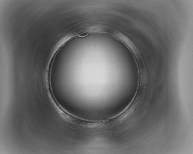 X0000111531434200907211235