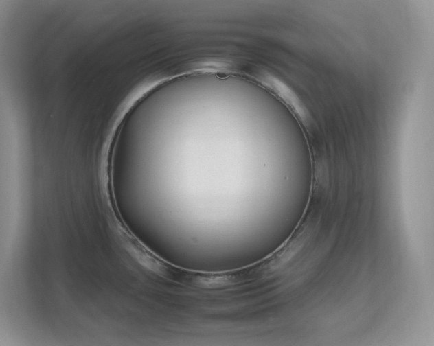 X0000111531435200907211235