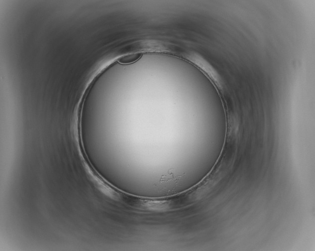 X0000111531439200907211235