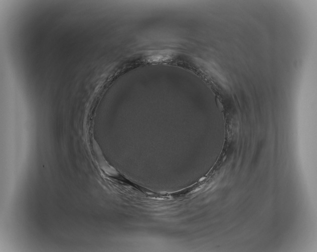 X0000111531441200907211235