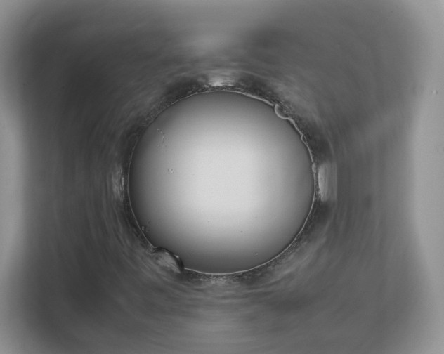 X0000111531443200907211235