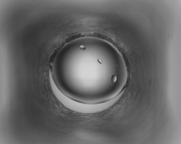 X0000111531445200907211235