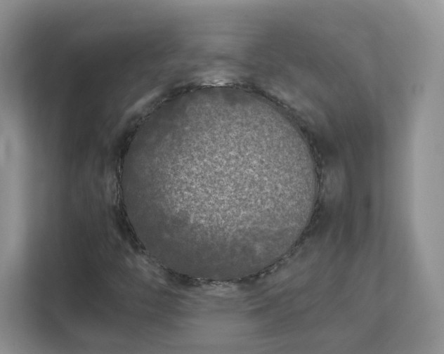 X0000111531446200907211235