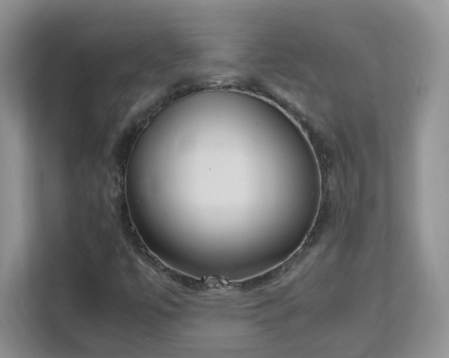 X0000111531447200907211235