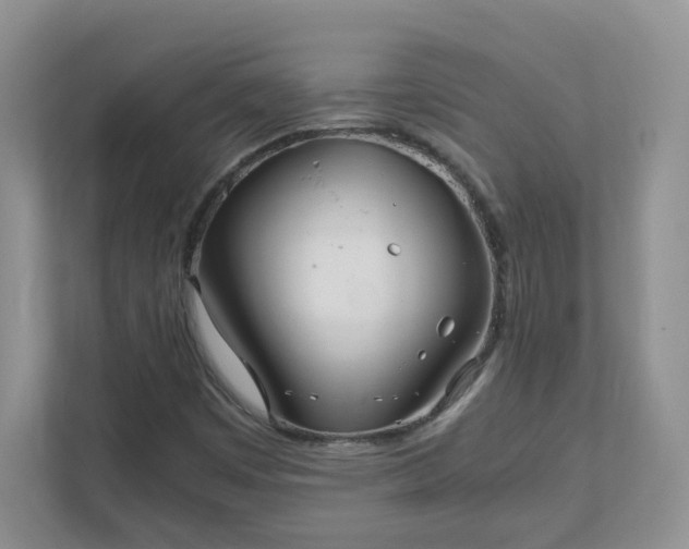 X0000111531449200907211235