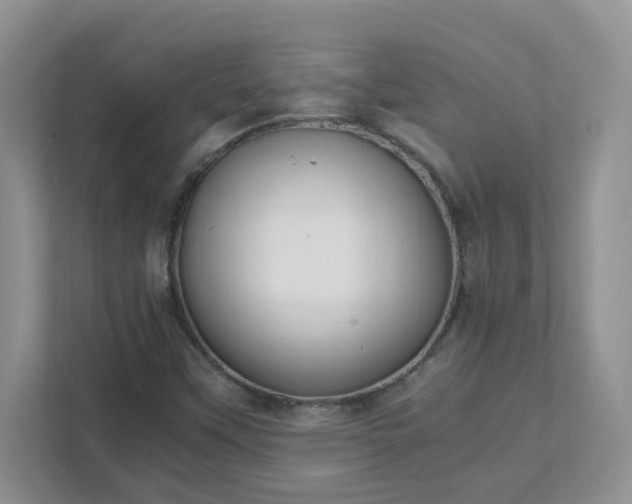 X0000111531451200907211234