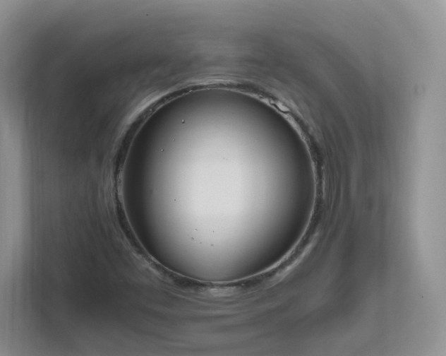 X0000111531453200907211234