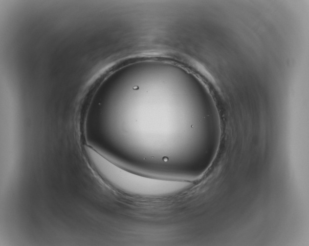 X0000111531456200907211234