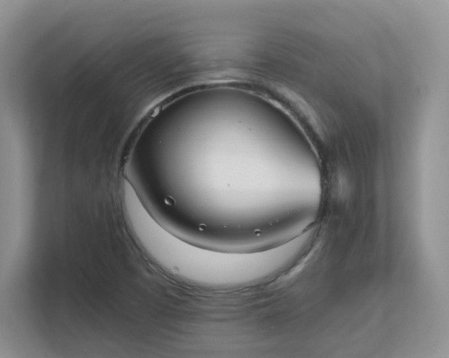 X0000111531457200907211234