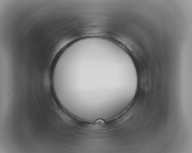 X0000111531458200907211234