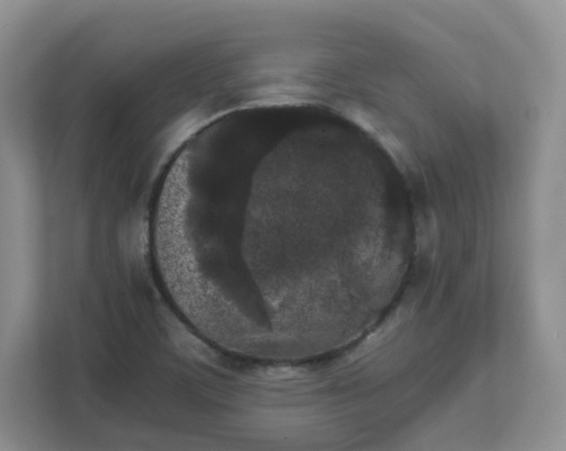 X0000111531459200907211234