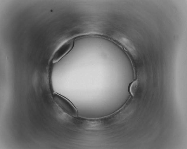 X0000111531460200907211234