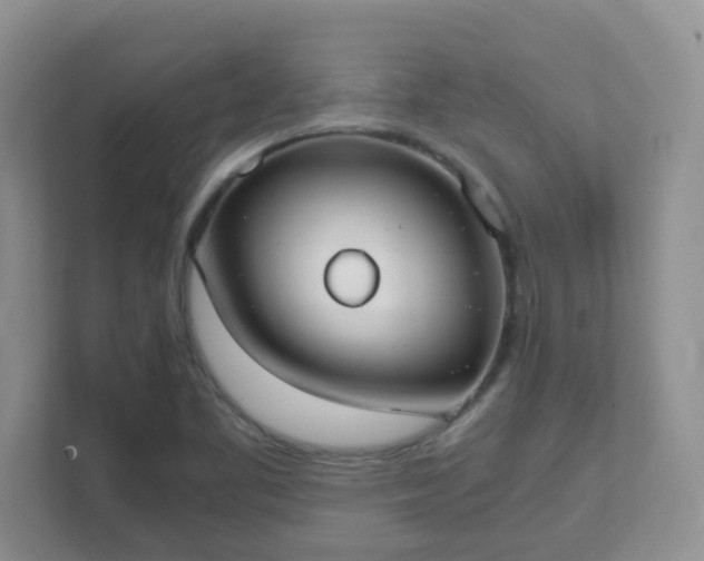 X0000111531461200907211234