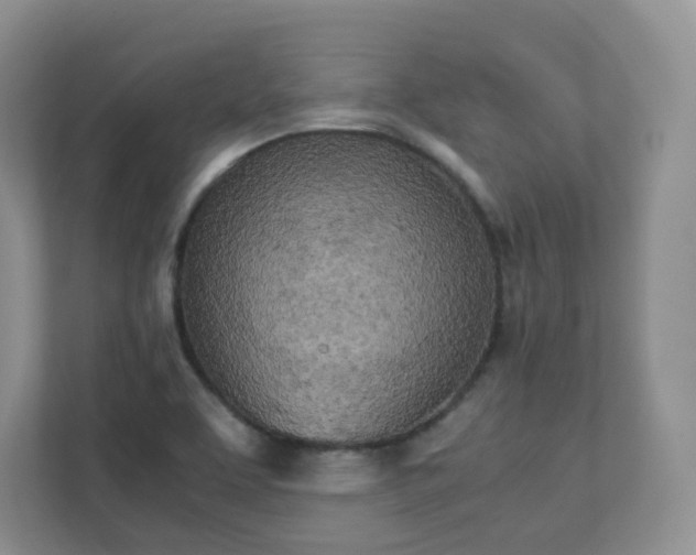 X0000111531463200907211234