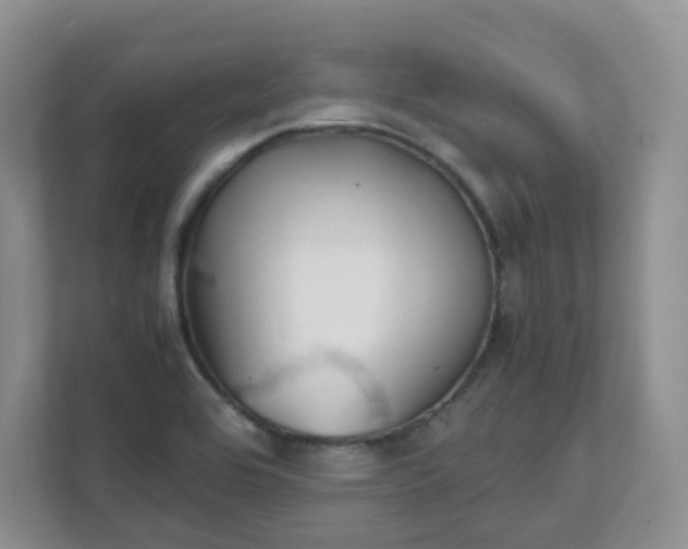 X0000111531464200907211234