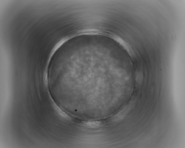 X0000111531466200907211234