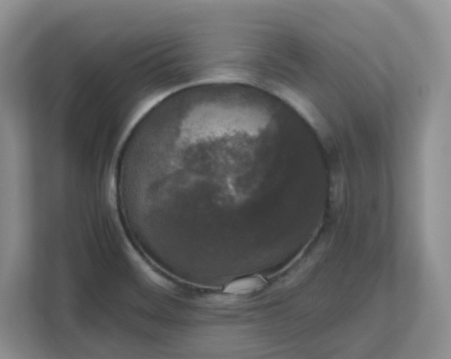 X0000111531468200907211234