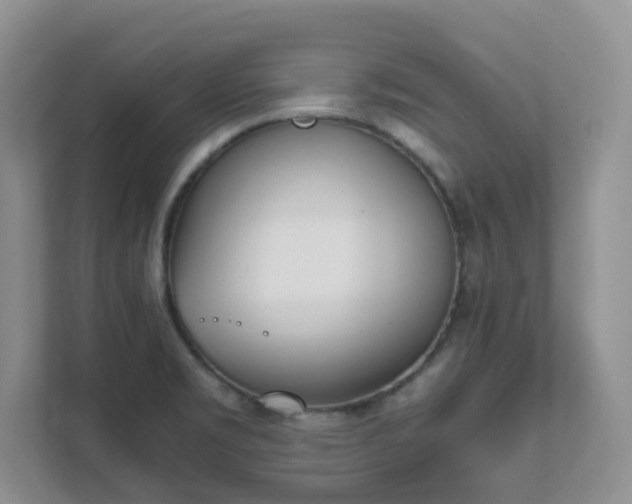 X0000111531469200907211234