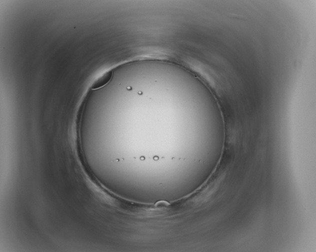 X0000111531471200907211234