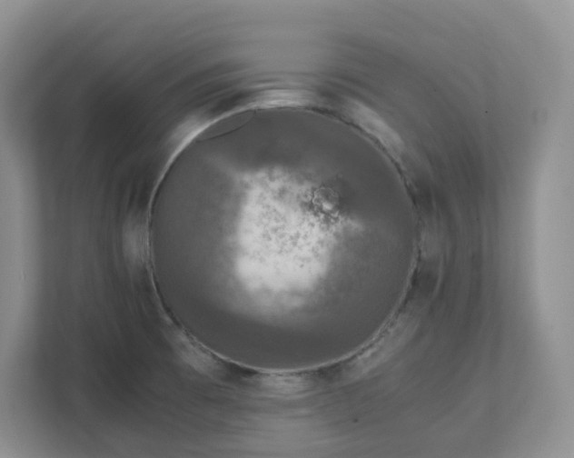 X0000111531473200907211234