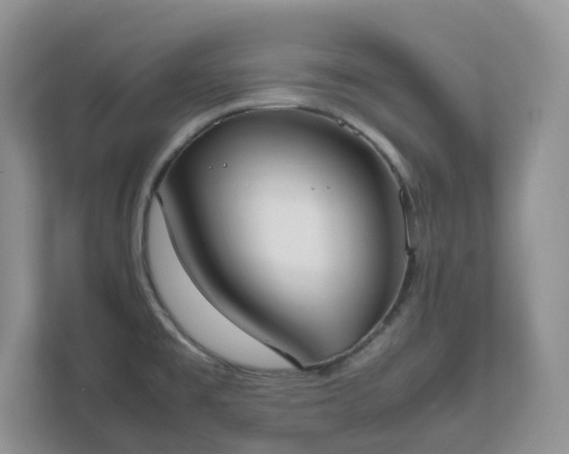 X0000111531477200907211234