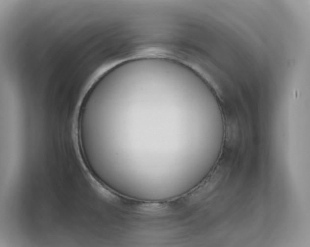 X0000111531478200907211234