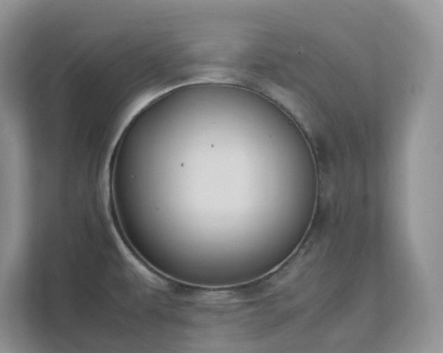 X0000111531479200907211234